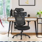 High Back Mesh Executive Chair with Adjustable Lumbar Support - 27.5" x 27.5" x 45"-49" (L x W x H)