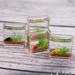 Meijuhuga Goldfish Bowl Model Realistic Decorative Ornament Miniature Glass Fish Tank for Dollhouse Photo Props Miniature Scenes