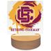 Bethune-Cookman Wildcats Paint Splash Acrylic LED Light Base