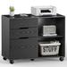 Ebern Designs Sigmond Accent Chest Wood in Gray | 29 H x 31 W x 15 D in | Wayfair A65496F14B934EA583A189DC2A906F8A