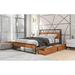 17 Stories Rumonda Platform Bed Wood & Metal/Metal in Black/Brown | 39.13 H x 55.73 W x 82.17 D in | Wayfair D2588C4BF74E4518876A79A81F46F05F