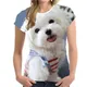 Summer Women T-Shirts Cute Dog Tops Fashion 3D Print Tees Short Sleeve Harajuku Animal T Shirt 5XL