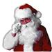 The Holiday Aisle® PMU Christmas Celebration Costume Party Santa Wig Beard Sets Mens (1/pkg) Pkg/1, Synthetic in White | Wayfair