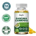 Catfit Garcinia Cambogia Kapseln Fett verbrennung & Cellulite Brenner Detox Gewichts verlust