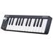 WORLDE Easykey.25 Portable Keyboard USB MIDI Controller 25 Key Velocity Sensitive Keys Black