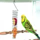 Stainless Steel Bird Parrot Feeder Food Fruits Basket Holder Foraging Equipment Bird Cage Feeding