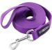 Siumouhoi Strong Durable Nylon Dog Training Leash 1 Inch Wide Traction Rope 6 ft 10ft 15ft Long for Small and Medium Dog (Purple 10 Feet)