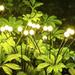 Solar Firefly Lights - 6pcs 60 LED Fairy Lights for Outdoor Decoration - Waterproof Swaying Solar Lights - Yellow Power