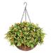 Artificial Flowers with Hanging Basket for Outdoor Indoor Fake Chrysanthemum Flowers in Coconut Lining Hanging Basket for Home Courtyard Decoration 4 Branches Flowers in 12 Basket(Yellow