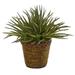 Nearly Natural 13in. Aloe Artificial Plant in Basket