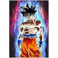 Diamond Painting Kits for Beginners 5D Diamond Painting for Adults Dragon Ball Diamond Painting Japanese Anime Diamond Art Size 12x16inch