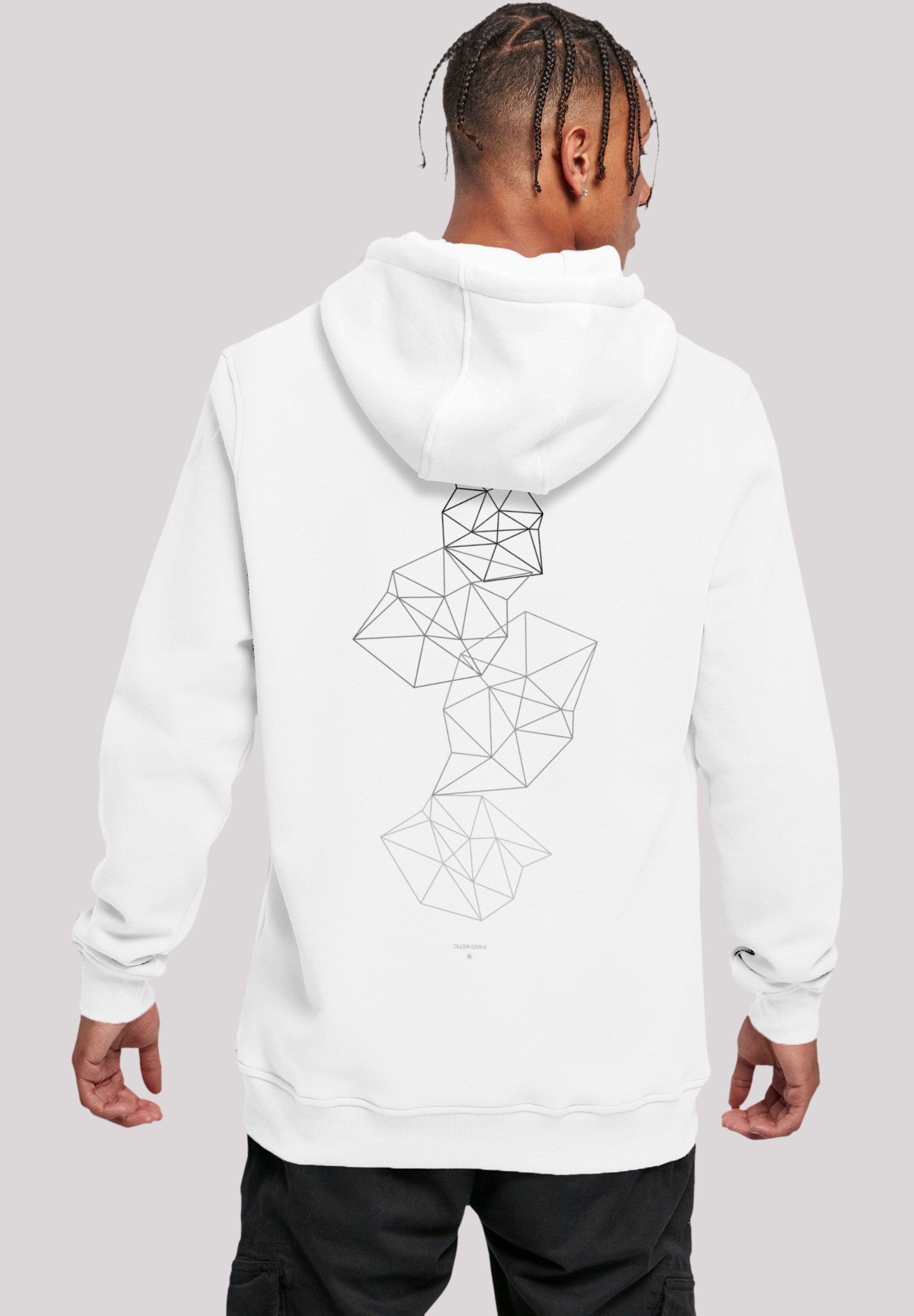 Kapuzenpullover F4NT4STIC "Geometrics Abstract", Herren, Gr. L, weiß, Obermaterial: 65% Baumwolle, 35% Polyester, slim fit, Pullover, Print Image