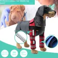 Pet Knee Pet ginocchiera regolabile Hock Brace bands Straps Protection Dog Bandage Wrap Dog Recovery