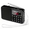 PRUNUS J-429 Radio portatile digitale AM SW altoparlante Radio FM Stereo Super Bass con batteria