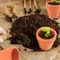 20 Pcs Mini fioriera in argilla vasi in Terracotta da 1.2 pollici vasi per piccole piante e fiori con fori di drenaggio piante grasse vivaio per piccole piante
