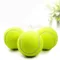 Tennis Training Professional Rubber Tennis palla da Tennis durevole ad alta elasticità per