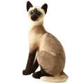 20-45CM giocattoli di peluche per gatti American Shorthai Siamese Ragdoll bambola farcita realistico