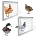 Pigeon Door Metal Wire Bars Frame Entrance Trapping Doors Loft Animal Birds Supplies Catching Bar