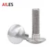 M4 M5 M6 M8 Stainless Steel GB12 DIN603 Truss Round Head Square Neck Carriage Bolt Coach Screw for