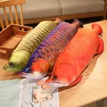 30/40CM Simulation Fish Plush Toys Cat Training Entertainment Arowana Fish Carp Stuffed Pillow