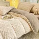 Taffel Velvet Duvet Cover for Winter Super Warm Soft Solid Color Comforter Cover Blanket Covers for