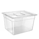 BioloMix Sous Vide 11L Container Bath with Lid for Circulator Sous Vide Culinary Cooker Fits Most