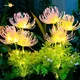 Solar Garden Lights Solar Flowers Lights with Glowing Flowers & Stems Solar Outdoor LED Light for