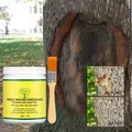 Tree Wound Cut Paste Pruning Compound Sealer Incision Recovery Bonsai Flower Grafting Smear Cut