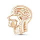 Harong Enamel Human Head Anatomy Pins Gold Color Medicine Anatomic Brooch Metal Badge Medical