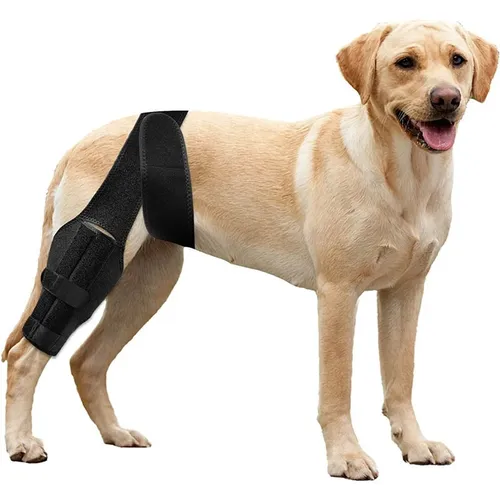 Hund Knies tütze Haustier Knies chützer zur Unterstützung mit Kreuzband verletzung verstellbare