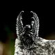 BEIER 2022 Aktualisiert Vikings Nordic Stil Raven Adler Ring Mens Vintage Schwere Edelstahl Ringe