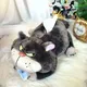 Disney Lucifer Katze Plüsch Spielzeug Tissue Lagerung Box Stofftier Plushies Cinderella Schlechte