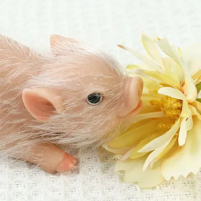 Customized Silicone Pigs Animal Doll Mini Reborn Piglet Stretchy Realistic Soft Cute Piggy Gift for