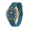 Boderry Bronze Uhr Seaturtle Titan Taucher Luxus Armbanduhr automatische mechanische Armbanduhr