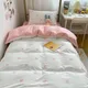 Student Dormitory Three-Piece Set Love Printed Quilt Cover Household Bed Sheet Set Skin-Friendly