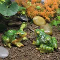 Cute Resin Frog Figurine Statue Simulation Green Frog Ornament Bonsai Succulent Decoration Crafts
