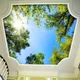 Nach 3D Wandbild Tapete Landschaft Sky Decke Wandbild Tapete Sonnenlicht Grünen Wald Hotel