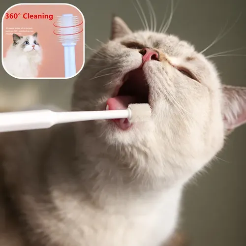 Katze Zahnbürste Weiche Haar Pinsel für Katzen Mund Reinigung Katze Pinsel für Zähne Reinigung