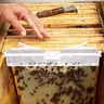 Bienenstock käfer falle klare wieder verwendbare Käfer blaster falle aus Kunststoff für Bienenstock
