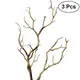 Branches Artificial Tree Branch Dried Twigs Stems Antler Decoration Fake Vase Willow Dry Flower