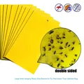 30/20/10PCS Strong Flies Trap Bug Sticky Board Catching Aphid Insects Pest Killer Mosquito Fly Bug