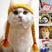 KAOU Cute Cartoon Handmade Dog Cat Hat Animal Party Costume Cap Pet Decor Accessory Coffee