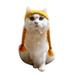 Aton D. Pet Hat Cute Funny Hat Soft Warm Braids Wig Hat Pet Cosplay Costume Party Supplies