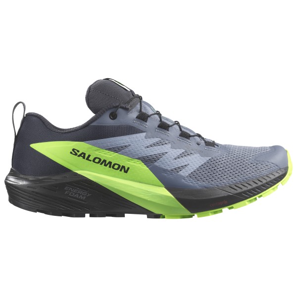Salomon - Sense Ride 5 GTX - Trailrunningschuhe 40 2/3 | EU 40,5 flint stone /grün
