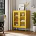 Latitude Run® Ascena Steel 2 - Door Accent Cabinet Metal in Yellow | Wayfair 156CEB6BDEA448639622AA985E382545