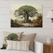 Latitude Run® Baobab Tree the Guardians II - Floral Metal Art Print Metal in Brown/Gray/Green | 24 H x 32 W x 1 D in | Wayfair