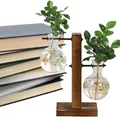 Vases de plantes hydroponiques de terrarium pot de fleur vintage vase transparent cadre en bois