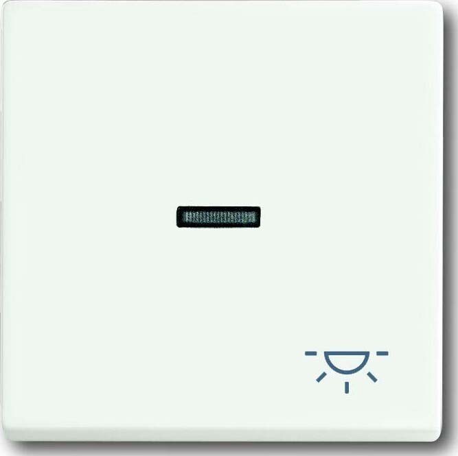 Busch-Jaeger Wippe stws mt 1789 LI-884 2CKA001751A3031 Image