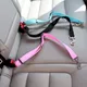 Cat Car Seat Belt Dog Accessories Adjustable Harness Lead Leash Small Medium Travel Clip Puppy