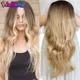 DinDong 24" Synthetic Half Wigs With Clip in Hair Extensions Long Wavy Hair Black Dark Light Brown
